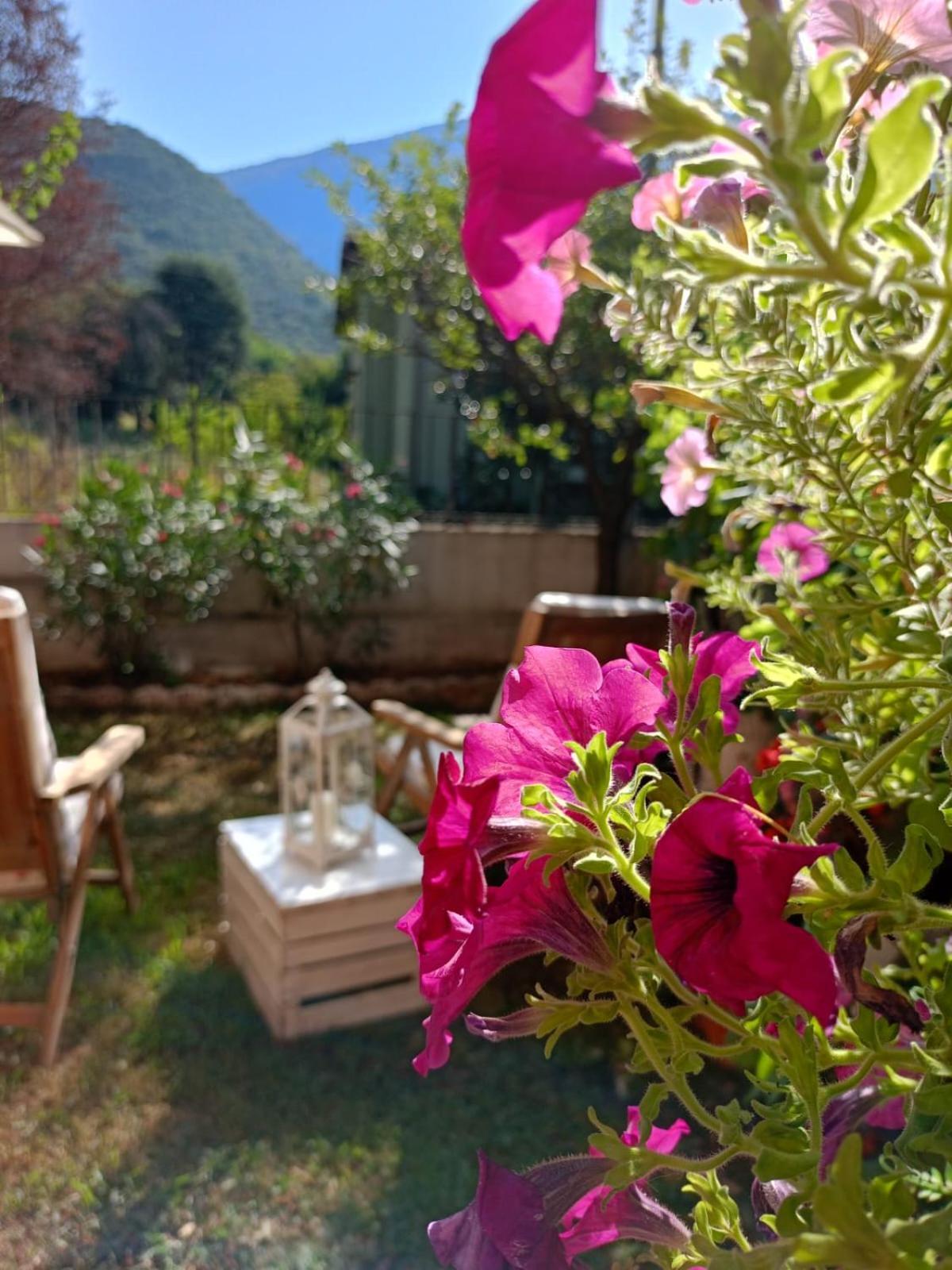 La Civetta Appartamento Con Giardino E Parcheggio Nave  Екстер'єр фото